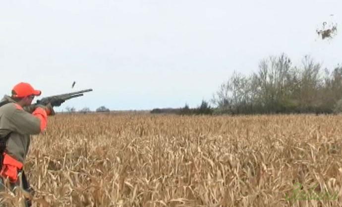 Ryan blasting a pheasant at Antler Ridge Lodge with Gary Howie's Outdoorsmen Adventures. 