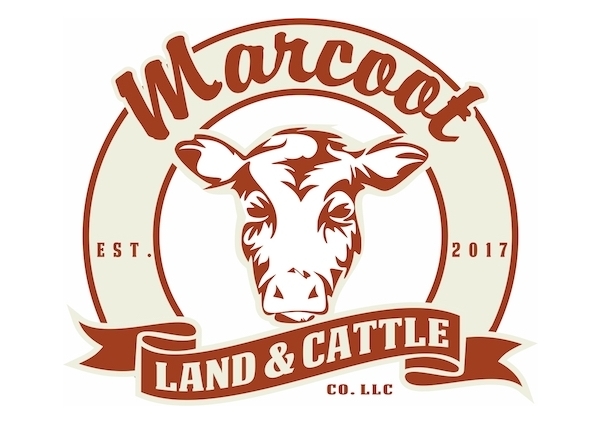 Cattle Farm Logo Design