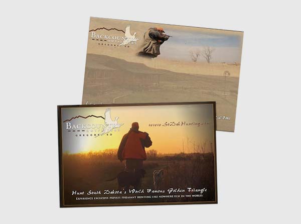 Pheasant Hunting Postcards